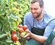 Obst und Gemüseverabreitung | © stock.adobe.com - industrieblick