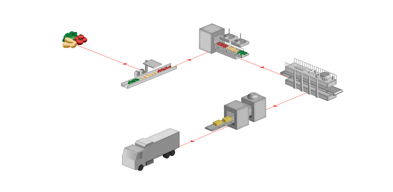 Vegetables and fruit processing